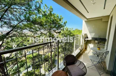 Apartamento com 3 quartos à venda na Rua Deputado Salim Nacur, Santa Amélia, Belo Horizonte