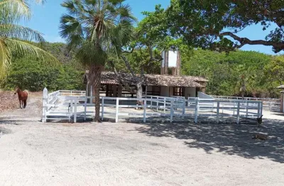 Fazenda com 2 salas à venda na ce-319, 10, praia das fontes, beberibe por r$ 1.600.000