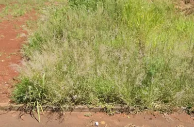 Terreno à venda no FAG, Cascavel 