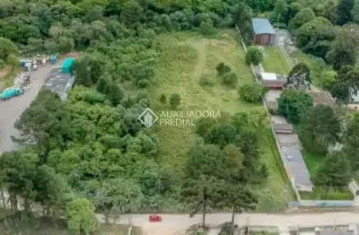 Terreno comercial à venda na rua dos palmenses, 4657, são miguel, curitiba, 4250 m2 por r$ 2.300.000