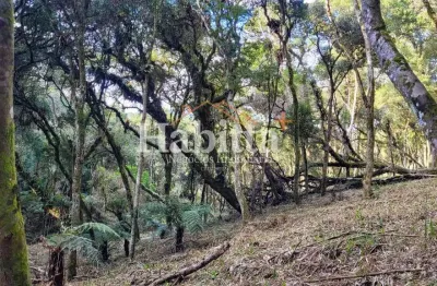 Terreno à venda no Alpino, São Bento do Sul 
