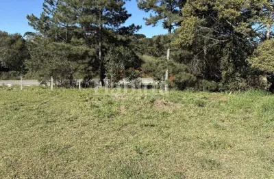 Terreno à venda na Serra Alta, São Bento do Sul 