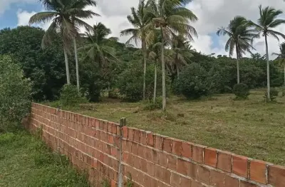 Vendo chácara em igarassu, toda murada (81) 9.8645.3325 jero fregapane creci 17797