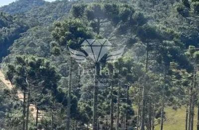 Terreno à venda no Invernadinha, Rancho Queimado 