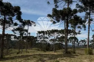 Terreno para venda em rancho queimado, invernadinha