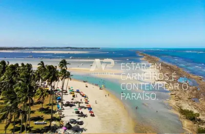 Bem-vindo ao carneiros atlântico beach flats!  38 m², 42 m² e 54 m², obra em ritmo acelerado.