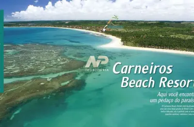 Carneiros beach resort: um paraíso à beira-mar em tamandaré