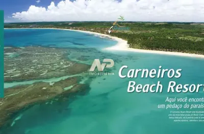 Carneiros beach resort: um paraíso à beira-mar em tamandaré