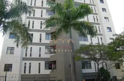 Apartamento à venda, 3 quartos, 1 suíte, 2 vagas, ouro preto - belo horizonte/mg