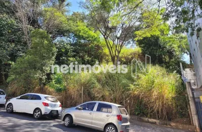 Terreno à venda no Luxemburgo, Belo Horizonte 