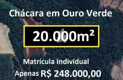 Chácara 20.000m entre ouro verde e concórdia do oeste matrícula individual com água e luz e cercada