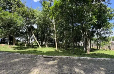 Terreno em condomínio fechado à venda na Avenida Leo Kraether, 1566, Country, Santa Cruz do Sul