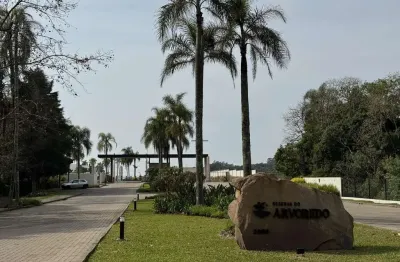 Terreno à venda na Avenida Leo Kraether, 1056, Country, Santa Cruz do Sul