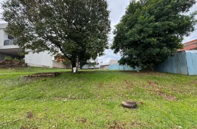 Terreno em condomínio fechado à venda na Avenida Leo Kraether, 3300, Country, Santa Cruz do Sul