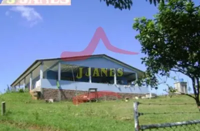 Chácara / sítio com 3 quartos à venda na beco da paz, 605, estância grande, viamão por r$ 900.000