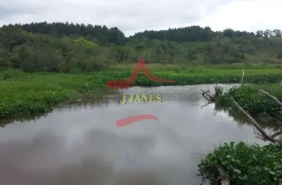 Chácara / sítio com 5 quartos à venda na Estrada Capitão Gentil Machado de Godoy, Tarumã, Viamão