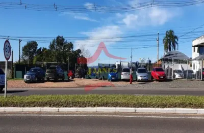 Fazenda à venda na Estrada dos Cunha, Zona Rural, Viamão