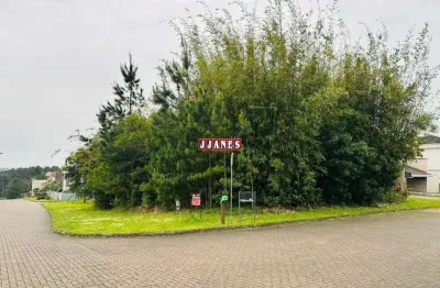 Terreno à venda na Tapir Rocha, Condomínio Buena Vista, Viamão