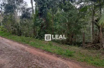 Terreno à venda, 1100 m² por r$ 105.000,00 - pitangueiras - matias barbosa/mg