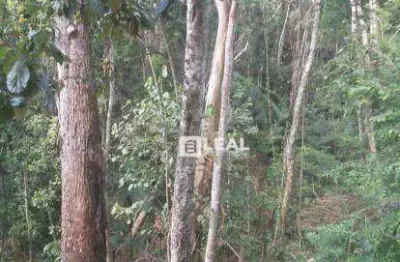 Terreno à venda, 1020 m² por r$ 85.000,00 - pitangueiras - matias barbosa/mg