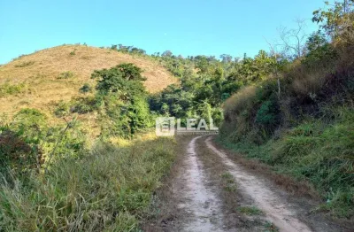 Fazenda com 2 dormitórios à venda, 760000 m² por r$ 1.700.000,00 - zona rural - simão pereira/mg