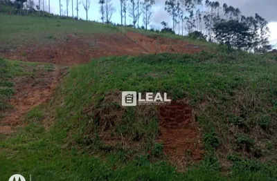 Terreno à venda, 1500 m² por r$ 40.000,00 - monte verde - juiz de fora/mg