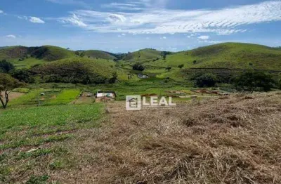Terreno à venda, 1000 m² por r$ 106.000,00 - portal de belmiro - belmiro braga/mg
