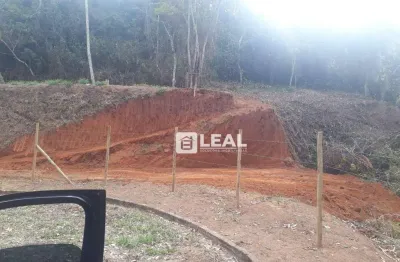 Terreno à venda, 3183 m² por r$ 99.000,00 - pitangueiras - matias barbosa/mg