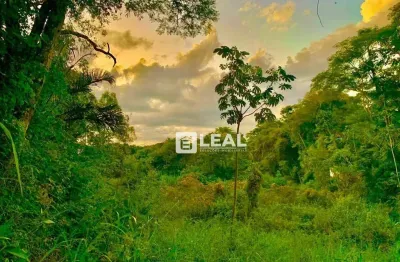 Terreno à venda, 12352 m² por r$ 550.000,00 - miragem - simão pereira/mg