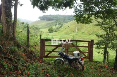 Sítio à venda, 150000 m² por r$ 500.000,00 - zona rural - ewbank da câmara/mg