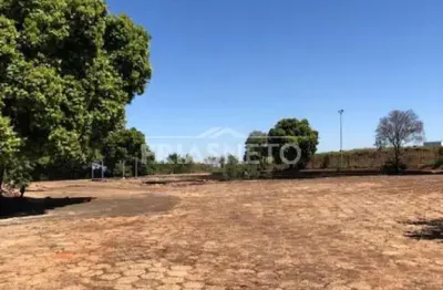 Terreno comercial para alugar no Campestre, Piracicaba 