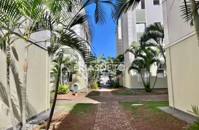 Apartamento para alugar em piracicaba no bairro dois córregos