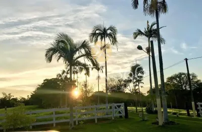Sítio/chácara de cinema à venda em são joão da boa vista/sp