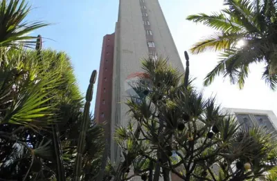 Apartamento aconchegante com 3 quartos, suíte e 2 vagas no santo antônio, bh