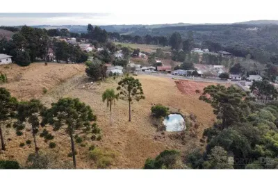 Terreno comercial para alugar na Rua Ambrósio Bricaillo, 788, Chapada, Ponta Grossa