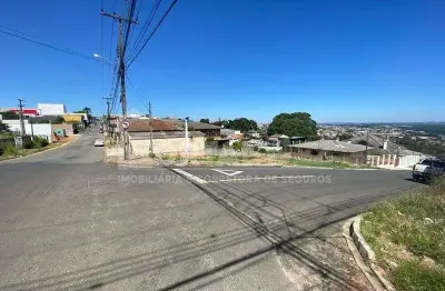 Terreno comercial para alugar na R Generoso Martins Araújo, 967, Nova Rússia, Ponta Grossa