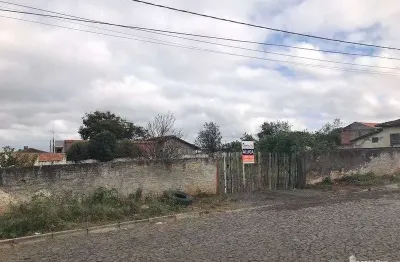 Terreno comercial para alugar na Bitencourt Sampaio, Nova Rússia, Ponta Grossa