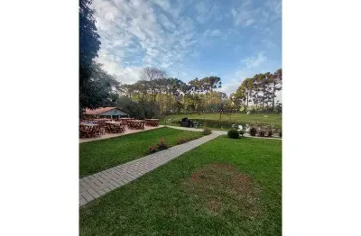 Ponto comercial para alugar na Bocaina (Ponta Grossa), Periquitos, Ponta Grossa