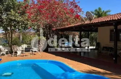 Chácara disponível para locação e venda na zona rural de uberlândia em uberlândia-mg