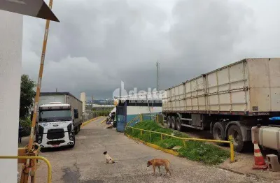 Galpão disponível para locação no bairro distrito industrial em uberlândia-mg