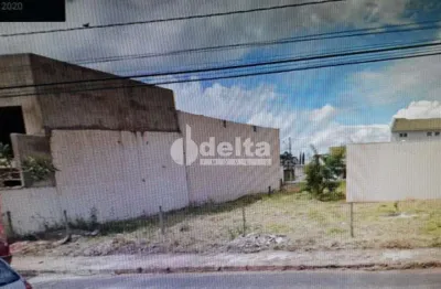 Terreno comercial para alugar na Avenida Dom Pedro II, 5064, Alto Umuarama, Uberlândia