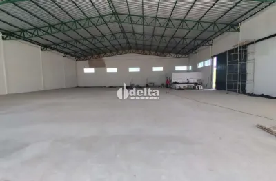 Galpão disponível para locação no bairro segismundo pereira em uberlândia-mg