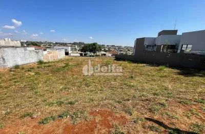 Terreno disponível para locação no bairro daniel fonseca em uberlândia-mg