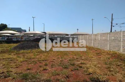 Terreno disponível para aluguel no bairro aclimação em uberlândia-mg