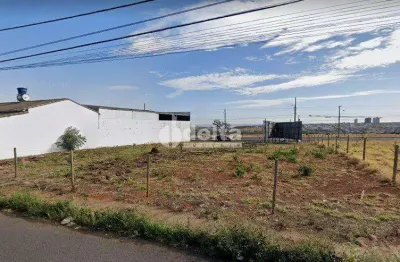Terreno disponível para locação no bairro alto umuarama em uberlândia-mg