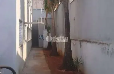 Apartamento, disponível para locação no bairro jardim holanda, uberlândia-mg
