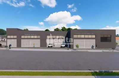 Galpão comercial disponível para locação no bairro luizote de freitas em uberlândia-mg