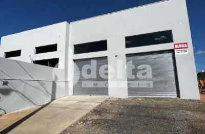 Galpão disponível para locação no bairro jardim das palmeiras em uberlândia-mg