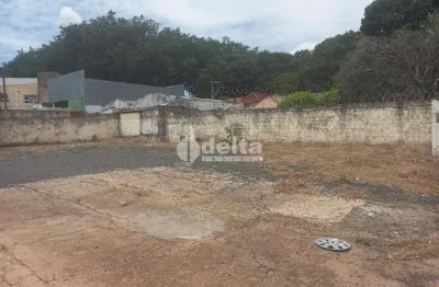 Terreno disponível para locação no bairro alto umuarama em uberlândia-mg