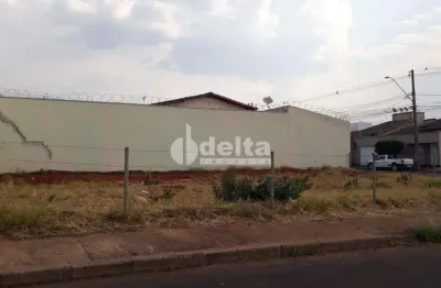 Terreno disponível para locação no bairro alto umuarama em uberlândia-mg